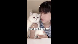 当我用猫对我的方式对待它 #好爱我的猫 #记录猫咪日常 #霍尼韦尔猫用净化器#霍尼韦尔空气净化器#霍尼韦尔浮毛收割机