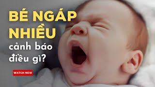 Em Bé Ngáp Nhiều Có Đáng Lo Ngại Không? Giải Mã Sức Khỏe Của Trẻ Sơ Sinh Qua Tần Suất Ngáp Ngủ