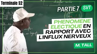 PHENOMENE ELECTRIQUE EN RAPPORT AVEC L'INFLUX NERVEUX