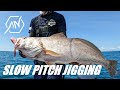 Slow Jigging with Shimano Bay Game 301 - Black Jewfish