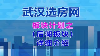 武汉后湖板块全面中肯测评。后湖板块怎么样？