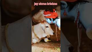 Jay shree krishna (mohe kala tika lagawo re)#shortsfeed#youtube