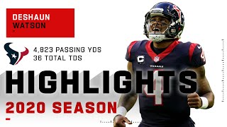 Deshaun Watson  Season Highlights | NFL 2020