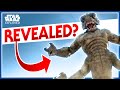 Did We All Miss This Star Wars Creature's Name - Star Wars Explained #Shorts