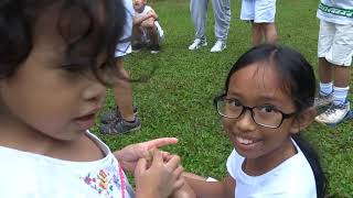 Waldorf School Greek Olympics