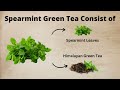 teacurry spearmint green tea helps with digestive wellness hormone balance and cognitive support