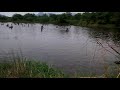 தாமிரபரணி ஆறு முக்கூடல் tamirabarani river mukkudal