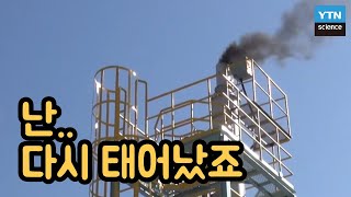 [핫클립] 선박에서 배출되는 배기가스를 정화하는 특별한 장치가 있다? / YTN 사이언스