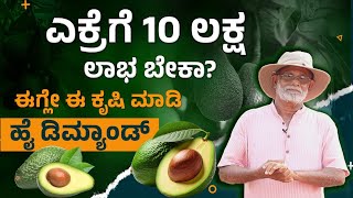 ಎಕ್ರೆಗೆ 10 ಲಕ್ಷ - How To Start a Butter Fruit Farming? Avocado Farming |Highest Demand in the Market