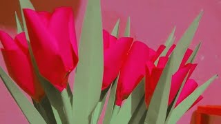 How to making Tulip flowers | 🌷🌷🌷🌷🌷🌷pink and green chart paper ki madad se only 🙂🙂🙂🙂🙂