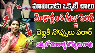 ఈ ఆకుతో ఇలా చేస్తే మోకాళ్ళ నొప్పులు తగ్గిపోతాయి | Knee Pain | Aruna Devi | iDream Health