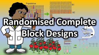 Tutorial R for research: Randomised complete block design