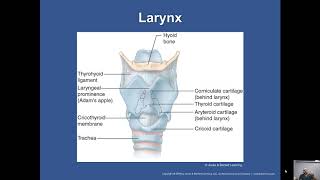 Ch. 15 Airway Management Lecture