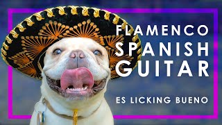 (9) HOUR FLAMENCO SPANISH GUITAR | RELAXING ACOUSTIC GUITAR INSTRUMENTAL MUSIC FOR STUDYING