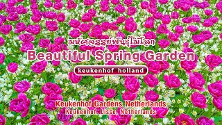 มหัศจรรย์พันธุ์ไม้โลก (Beautiful Spring Garden)