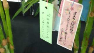 西尾維新祭２０１２　七夕短冊＠秋葉原駅　（化物語・偽物語）