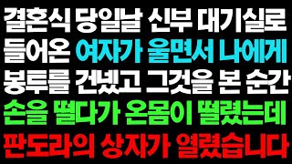 실화사연-  결혼식 당일 날 판도라의 상자가 열렸습니다ㅣ라디오드라마ㅣ사이다사연ㅣ