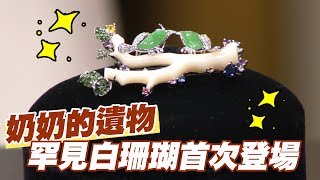 【精華版】奶奶的遺物 罕見白珊瑚首次登場