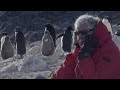 Parts Unknown Antarctica Trailer