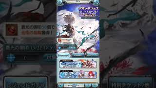 【グラブル】8周年アニバーサリーガチャルーレット10日目