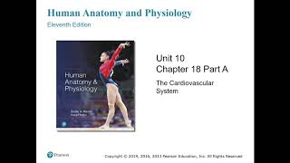 Anatomy and Physiology Chapter 18 Part A