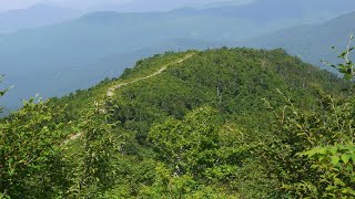 20230706 取立山　こつぶり山