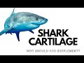 Shark Cartilage – Why Should You Supplement?