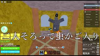 【blox fruits】レイドをせずに覚醒部屋に行く方法！