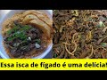 Como fazer isca de fígado,os clientes estavam pedindo está receita.