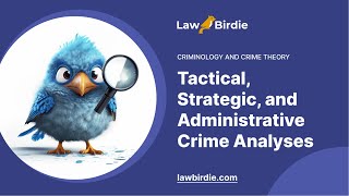 Tactical, Strategic, and Administrative Crime Analyses - Essay Example