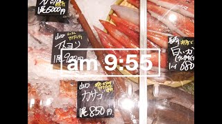 サカナバッカ 開店準備編