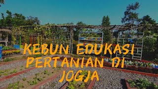 Bertani || Agrowisata Di Jogja