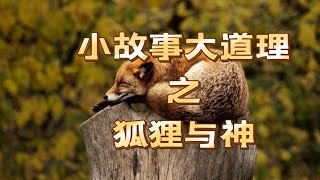 【小故事大道理】狐狸与神(2023)