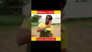 Elephant 🍌 Test 😱 भूखा हाथी कितने केले खायेगा | jay ke short | #shorts