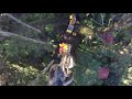 Ace Tree Removal with a Crane in the Dandenong Ranges