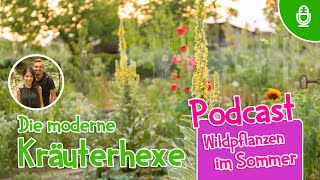 🌸 Diese 10 Wildkräuter kann man im Sommer sammeln 🌿 #wildkräuter #heilpflanzen #sommer