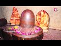 lord shiva songs mukkoti ekadasi special songs telugu best shiva songs