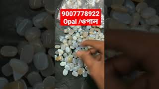 ওপাল 9007778922 #astrology #shortvideo #subscribe #অমৃতকথা #tips #totka #vastu #happy #highlights