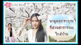 Memory#3 : รีวิวญี่ปุ่น พาดูดอกซากุระที่สวนสาธารณะใกล้บ้าน | It’s Pim’s Memory