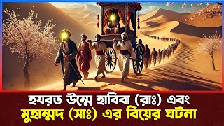 হযরত উম্মে হাবিবা (রঃ) এবং মুহাম্মদ সাঃ এর বিয়ের ঘটনা । Islamic Story Bangla