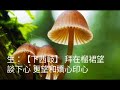 艷曲動皇心_沙菲 u0026鄒福財合唱〈按此附剧作介紹〉