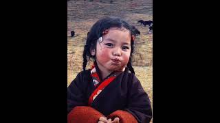 Little Dolma | Tibetan cute kid | Wang Tibvideo