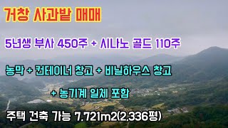 No 191 거창 땅 매매 거창 사과 밭 매매 부사 450주 + 시나노 골드 110주 농막 + 컨테이너 창고 + 비닐하우스 창고 + 농기계 일체 포함 건축 가능