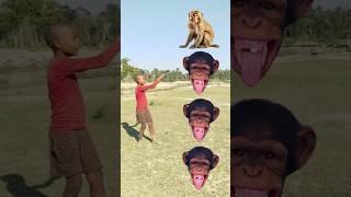 बन्दर मामा आए बन्द पाजामा ले देखो कुत्ता आया फिर बिल्ली आई monkey, dog, cat, magical video 😁#funy