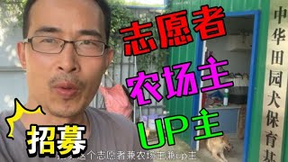 中华田园犬保育基地招募：志愿者兼农场主兼UP主，赶紧来体验吧！