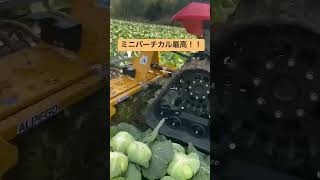 キャベツの葉が一瞬で！！🎥動画提供🎥太陽ファームグループさん。（BGM編集済み） #agriculture #農業 #shorts #farmer #農業機械