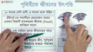 ০৪.১১. অধ্যায় ৪ : নবজীবনের সূচনা - পৃথিবীতে জীবনের উৎপত্তি (১) [SSC]