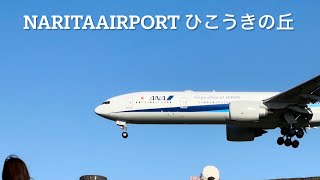 飛行機好き必見✈️✨成田空港／ひこうきの丘で着陸シーン🎥#naritaairport #ana #narita #japan #ひこうきの丘 #japantravel