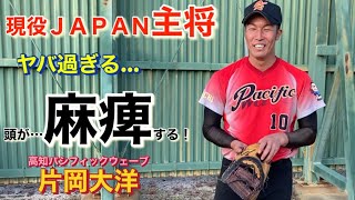 【超ビッグゲスト　降臨】男子ソフトボール日本代表キャプテン　片岡大洋　捕手（高知パシフィックウェーブ）