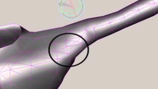 Pourquoi convertir en triangles des modèles polygonales